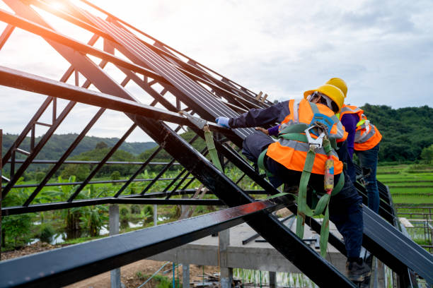 Best Metal Roofing Contractor  in Burlington, ND