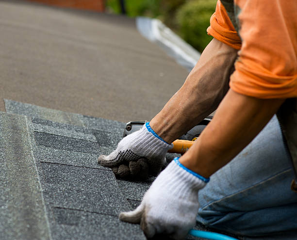 Best Flat Roof Repair Services  in Burlington, ND