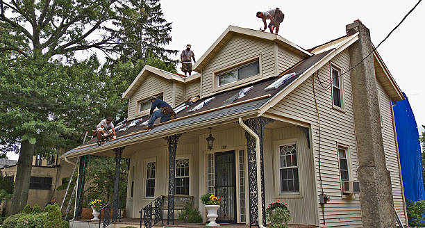 Best Residential Roofing Contractor  in Burlington, ND