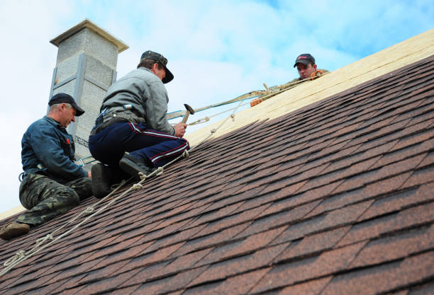 Best Emergency Roof Repair  in Burlington, ND